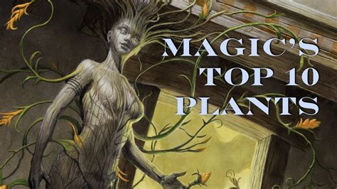 Plant magic practitioner youtube
